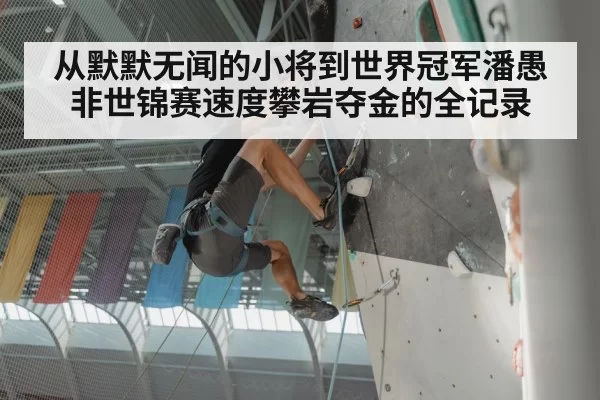 从默默无闻的小将到世界冠军潘愚非世锦赛速度攀岩夺金的全记录